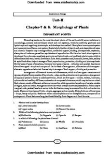 NEET UG Biology Morphology of Plants